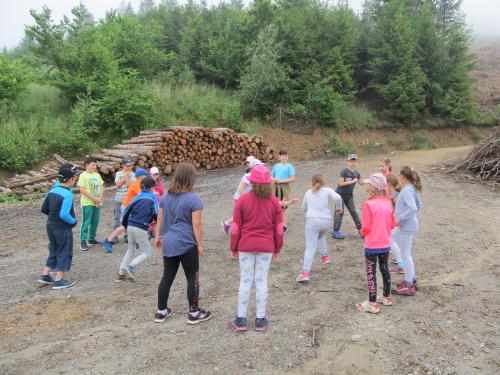 Lesní pedagogika pro malé
