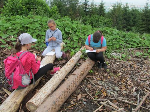 Lesní pedagogika pro malé